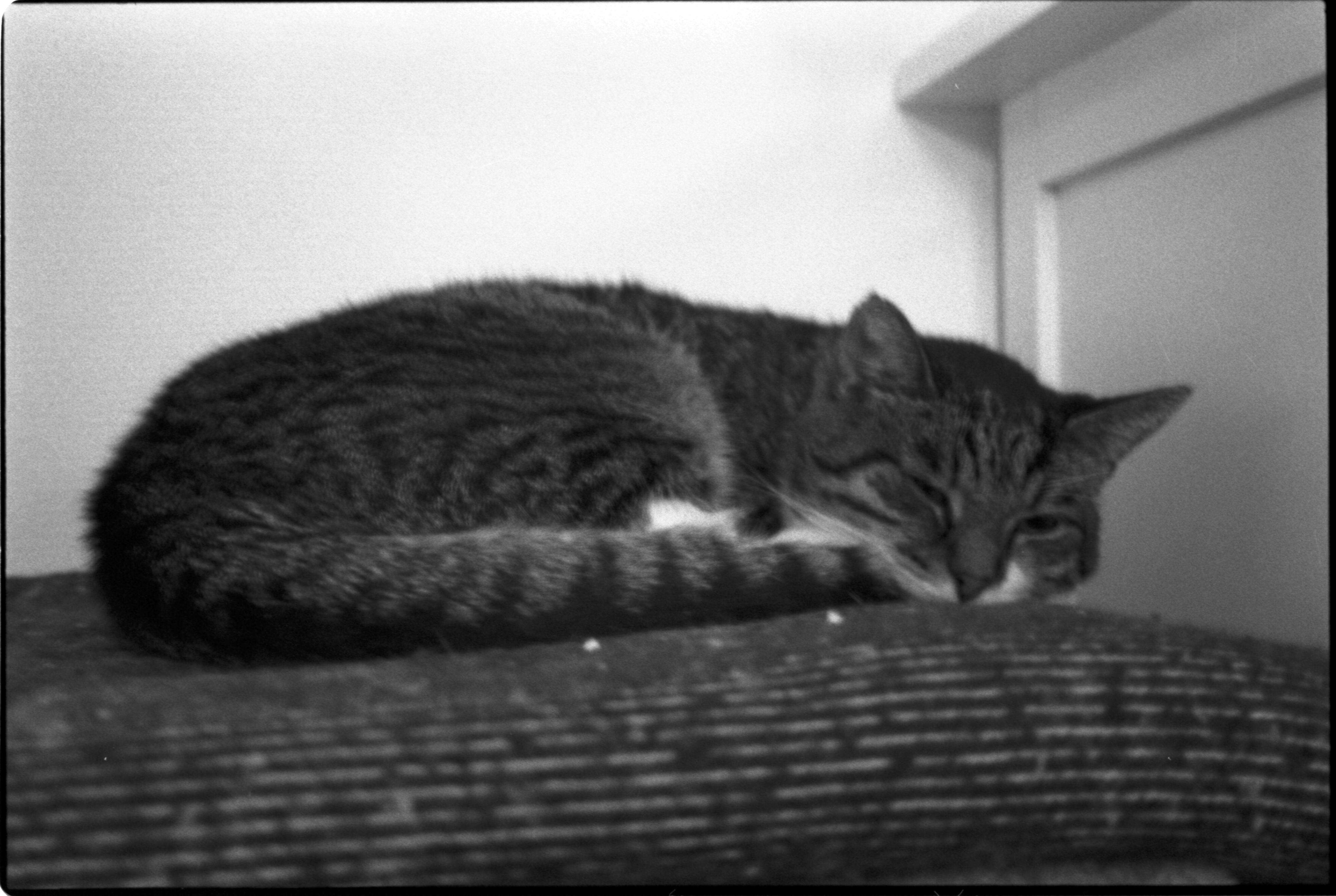 blog
